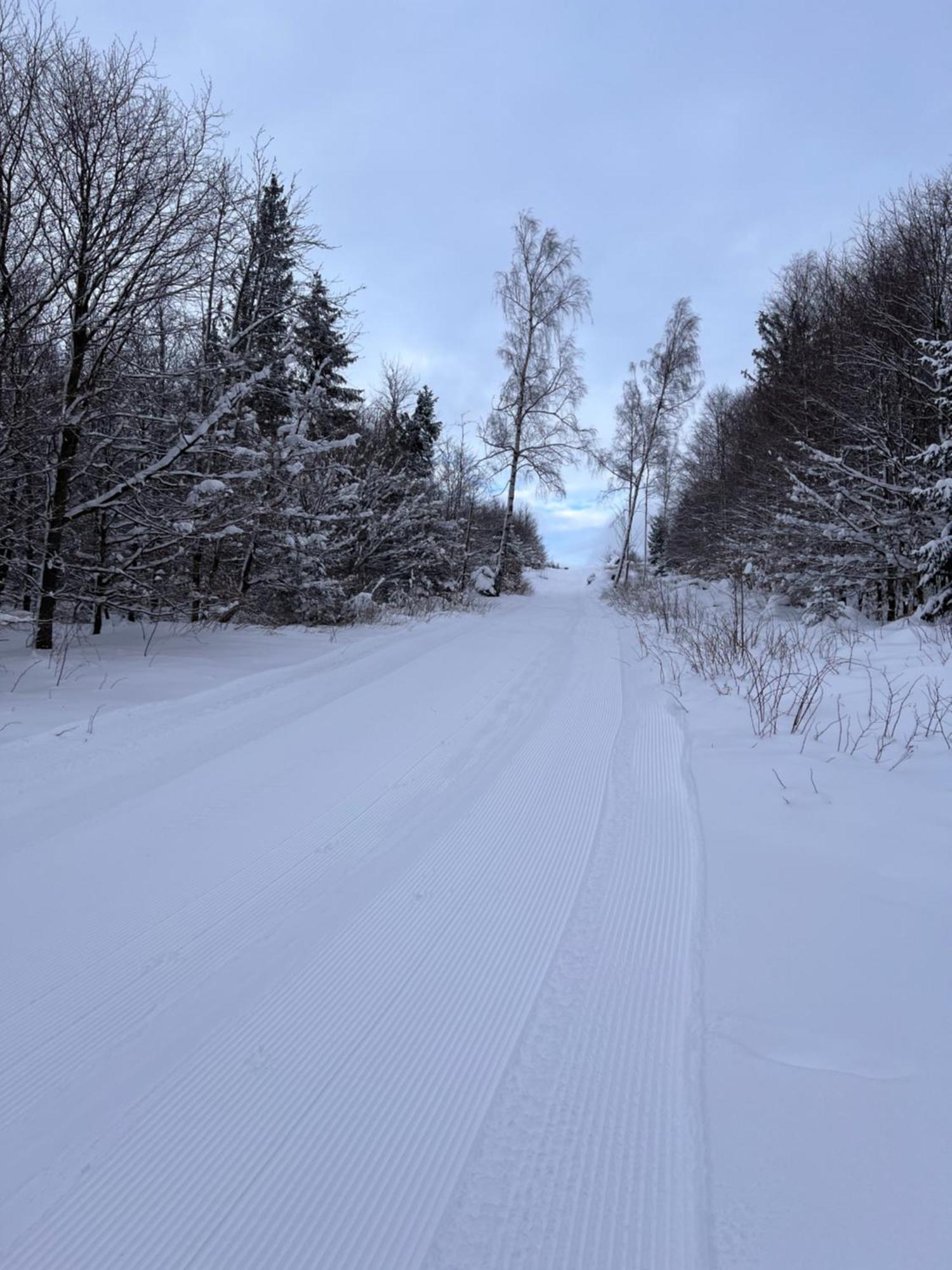 ブラウンラーゲHarz-Roseアパートメント エクステリア 写真